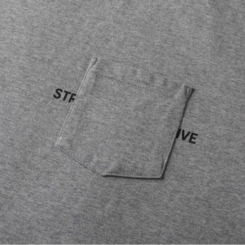 SFCSS23CS12G
